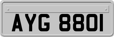 AYG8801