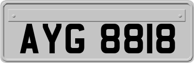 AYG8818