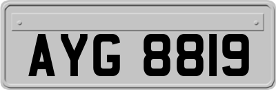 AYG8819