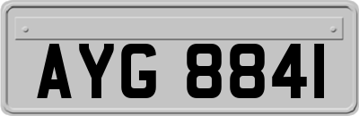 AYG8841