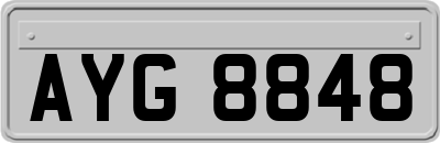 AYG8848