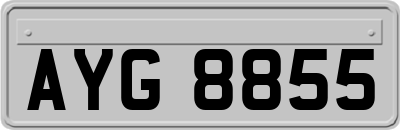 AYG8855