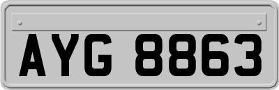 AYG8863