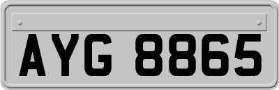 AYG8865