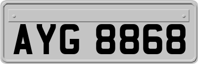 AYG8868