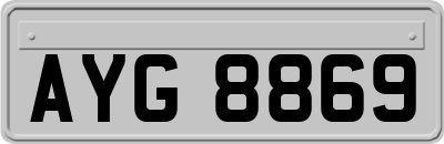 AYG8869