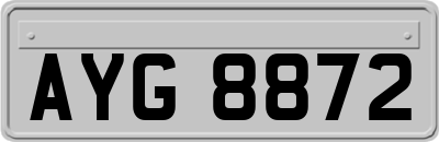 AYG8872