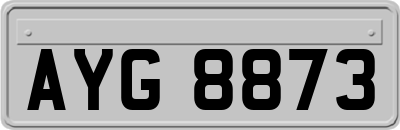 AYG8873