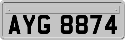 AYG8874