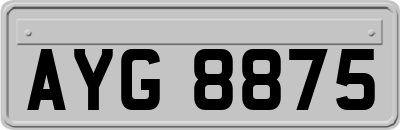 AYG8875