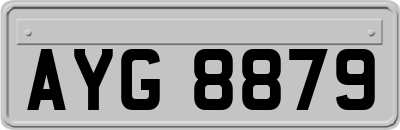 AYG8879
