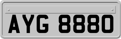 AYG8880