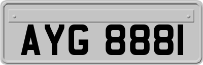 AYG8881