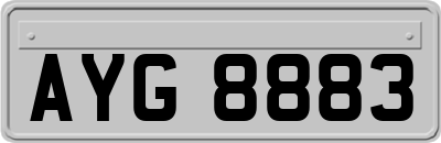 AYG8883