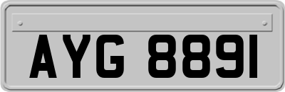 AYG8891