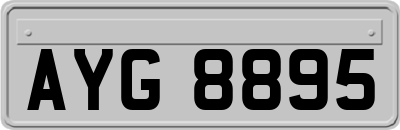 AYG8895