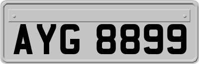 AYG8899