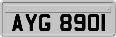 AYG8901