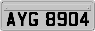 AYG8904