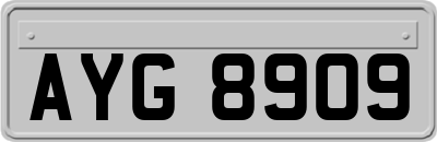AYG8909