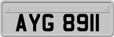 AYG8911
