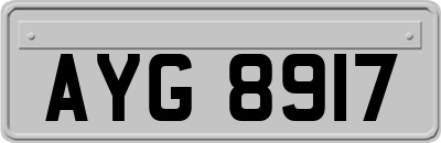 AYG8917