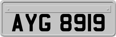 AYG8919