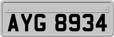 AYG8934