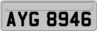 AYG8946