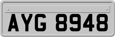 AYG8948