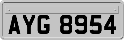 AYG8954
