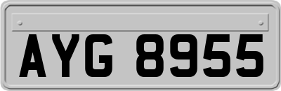 AYG8955