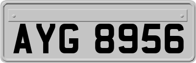 AYG8956