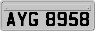 AYG8958