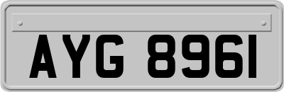 AYG8961