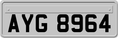 AYG8964