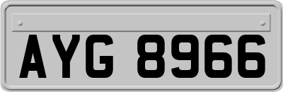 AYG8966