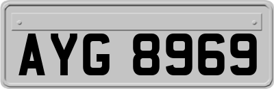 AYG8969