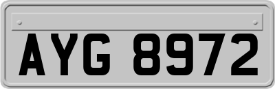 AYG8972
