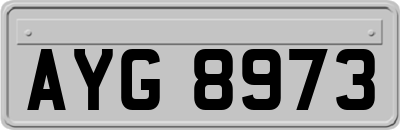 AYG8973