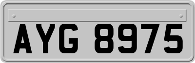 AYG8975