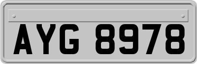AYG8978