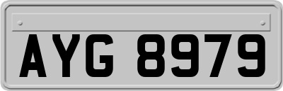 AYG8979
