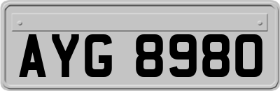 AYG8980