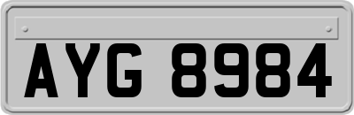 AYG8984