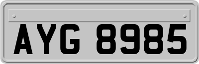 AYG8985