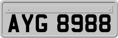 AYG8988