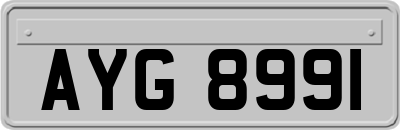 AYG8991