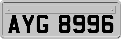 AYG8996