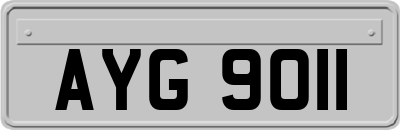 AYG9011